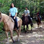 winery journeys horseback